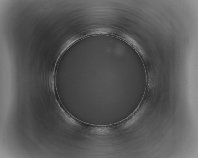 X0000112530802200908241505