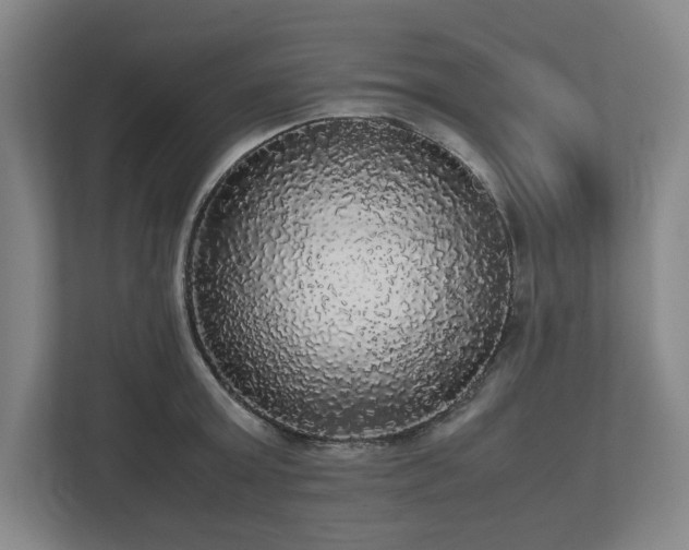 X0000112530803200908241505