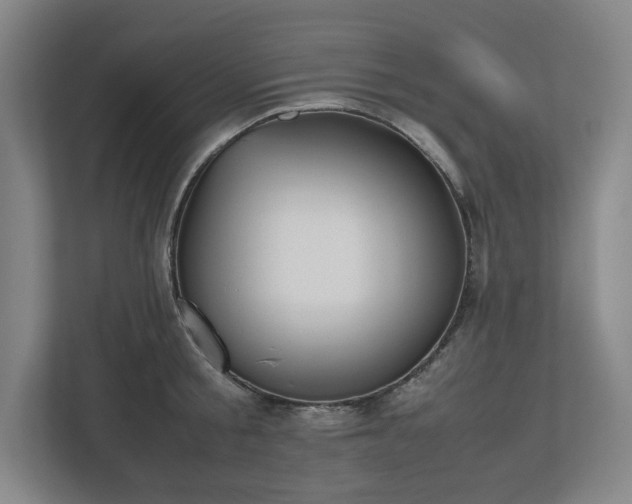 X0000112530805200908241505