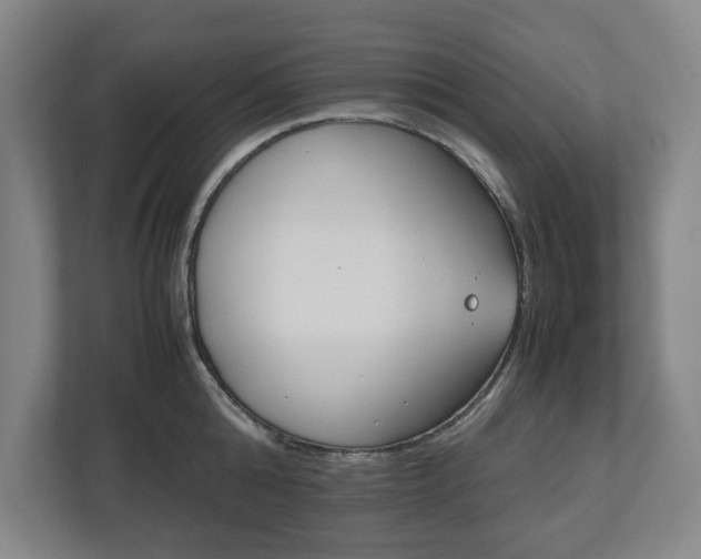 X0000112530808200908241505