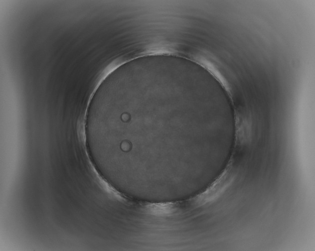 X0000112530810200908241505
