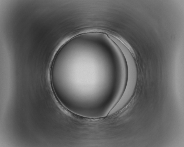 X0000112530813200908241505