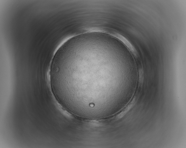 X0000112530814200908241505