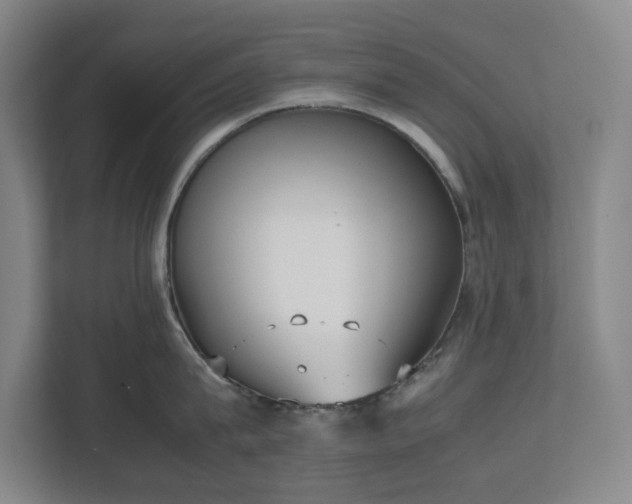 X0000112530815200908241505