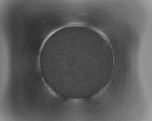 X0000112530816200908241505