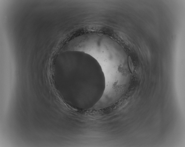 X0000112530817200908241505