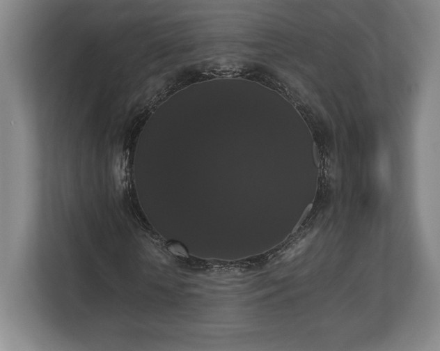 X0000112530818200908241505