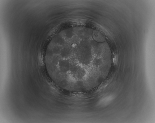 X0000112530819200908241505