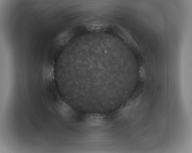 X0000112530820200908241505