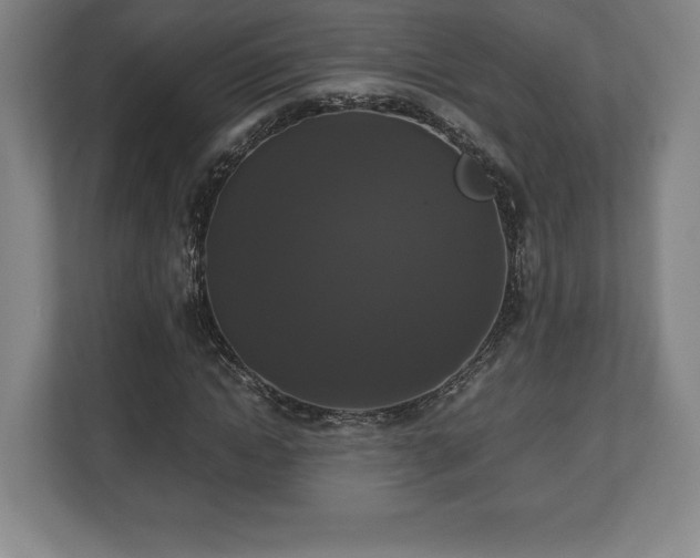 X0000112530822200908241505
