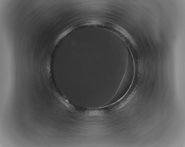 X0000112530826200908241505