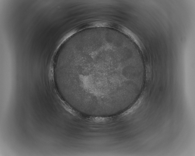 X0000112530827200908241505