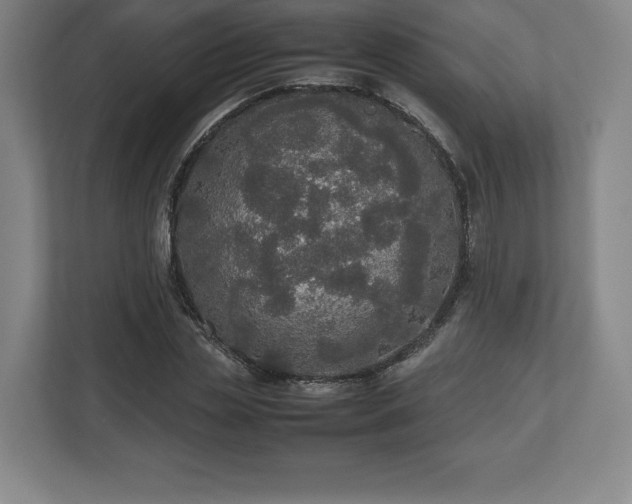 X0000112530829200908241505