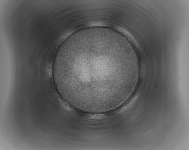 X0000112530833200908241505