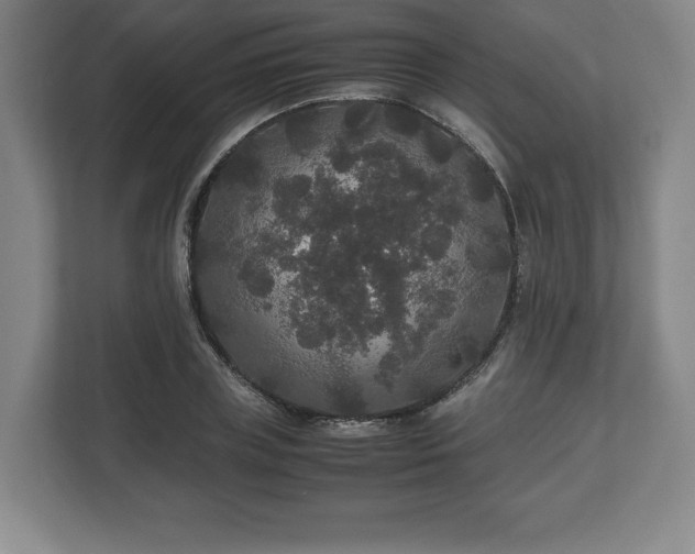 X0000112530835200908241505