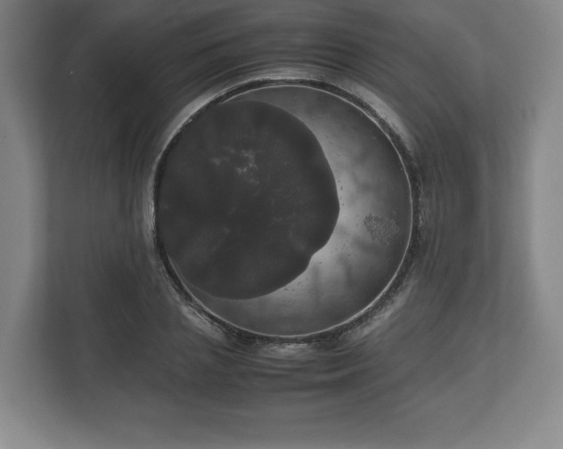 X0000112530837200908241505