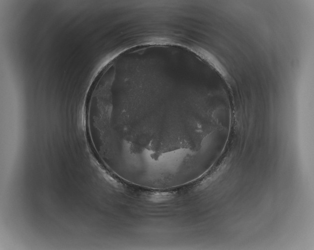 X0000112530839200908241505