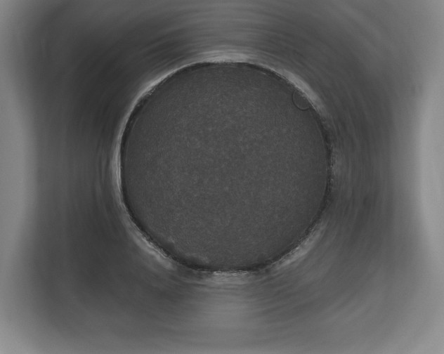 X0000112530840200908241505