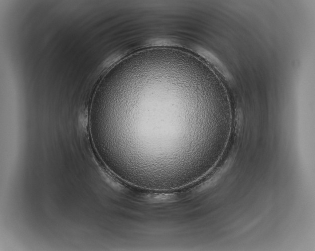 X0000112530841200908241505