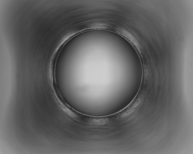 X0000112530843200908241505