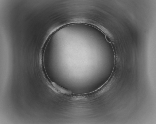 X0000112530846200908241505