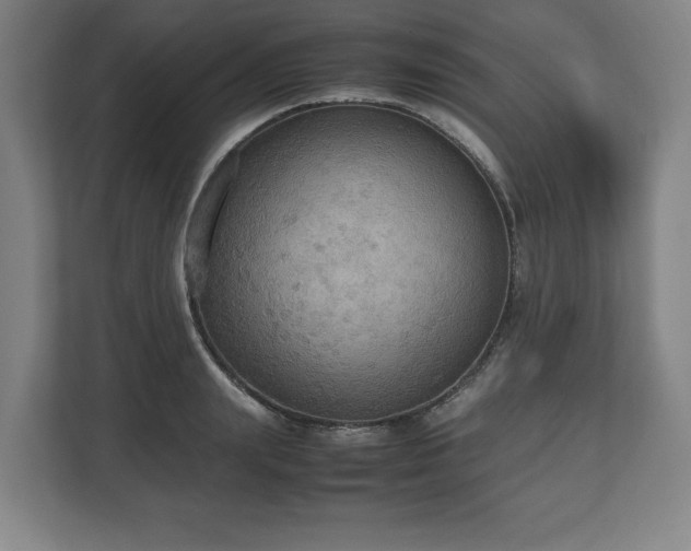 X0000112530847200908241505