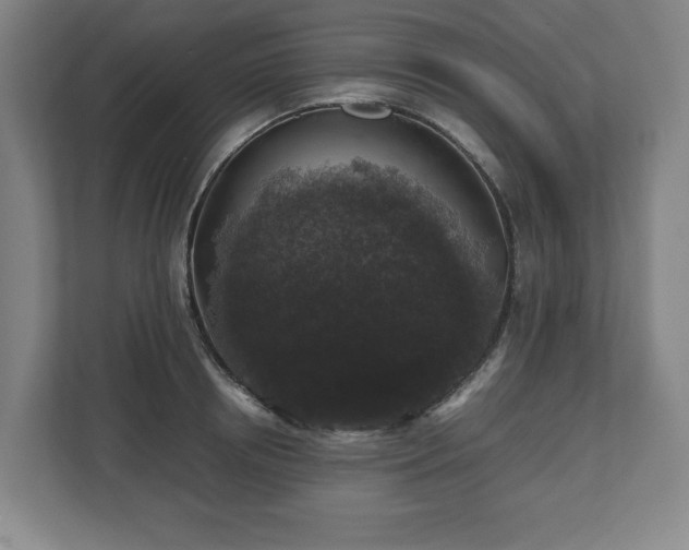 X0000112530850200908241505