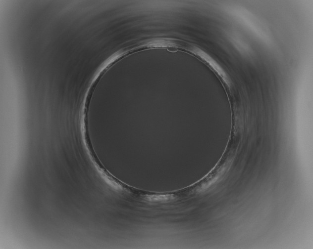 X0000112530853200908241505
