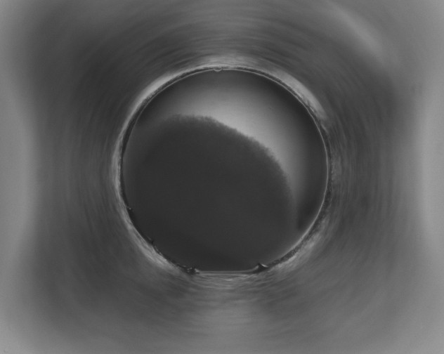 X0000112530854200908241505