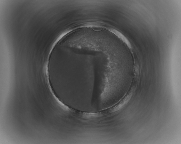 X0000112530855200908241505