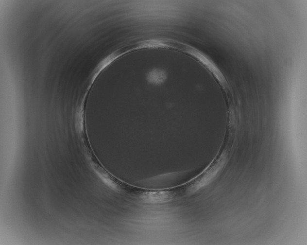 X0000112530858200908241505