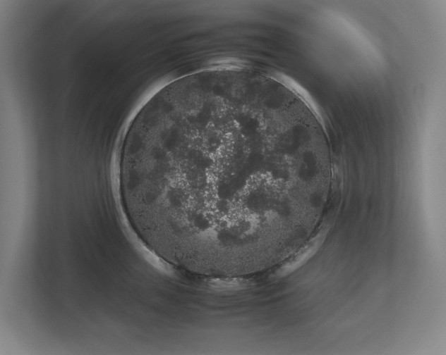 X0000112530859200908241505