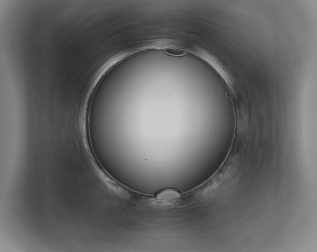X0000112530861200908241505