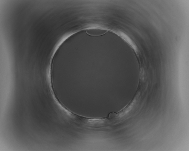 X0000112530863200908241505