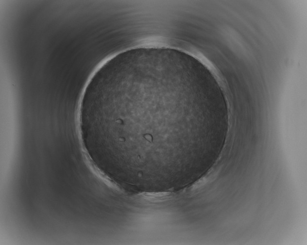 X0000112530864200908241505
