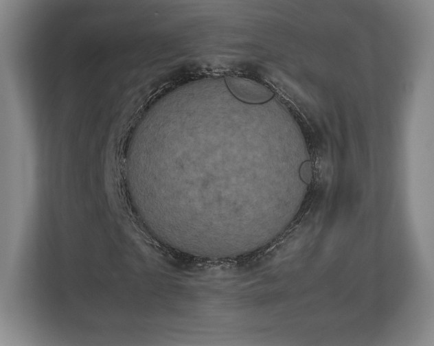X0000112530865200908241505