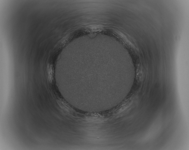 X0000112530866200908241505
