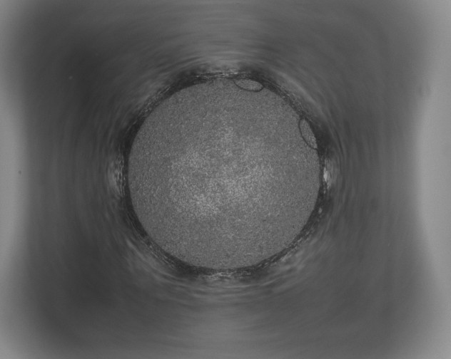 X0000112530867200908241505