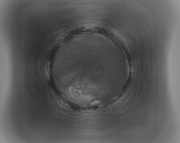 X0000112530868200908241505