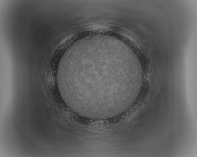 X0000112530869200908241505