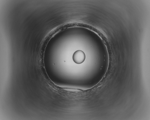 X0000112530872200908241505