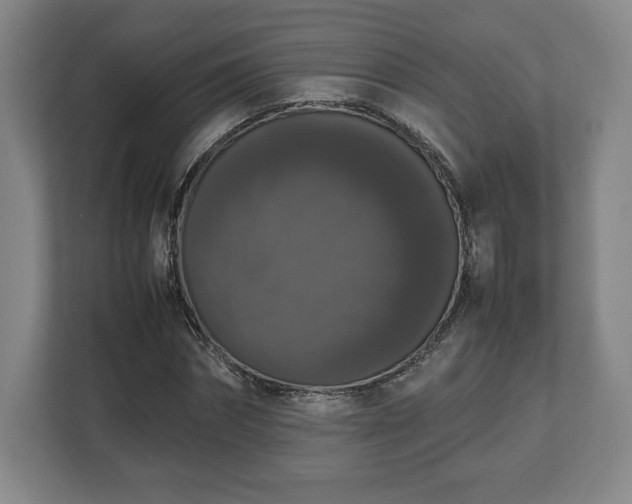 X0000112530874200908241505
