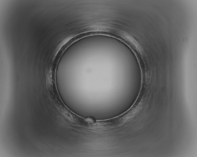 X0000112530875200908241504