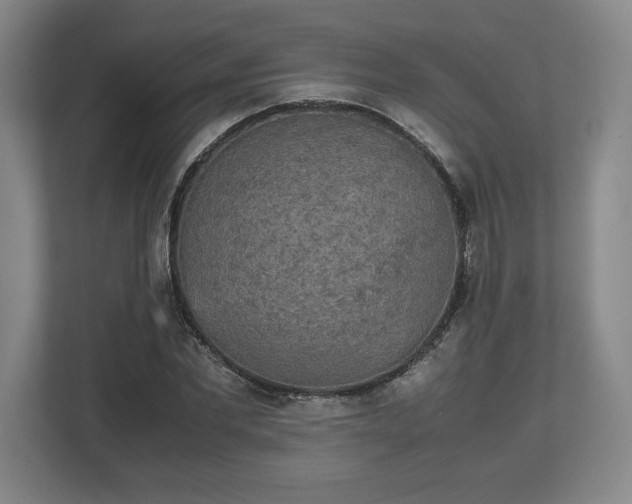 X0000112530877200908241504
