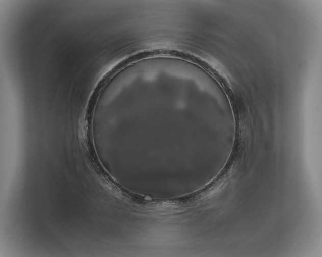 X0000112530879200908241504