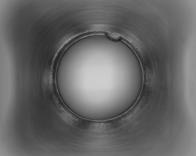 X0000112530880200908241504