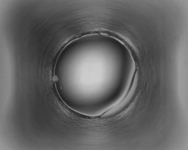 X0000112530881200908241504