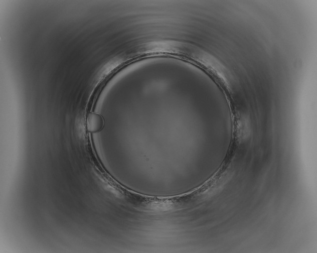 X0000112530882200908241504
