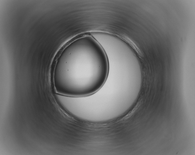 X0000112530884200908241504