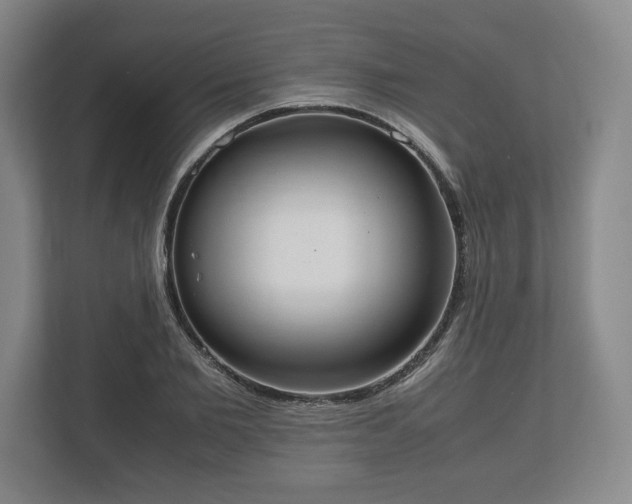 X0000112530885200908241504